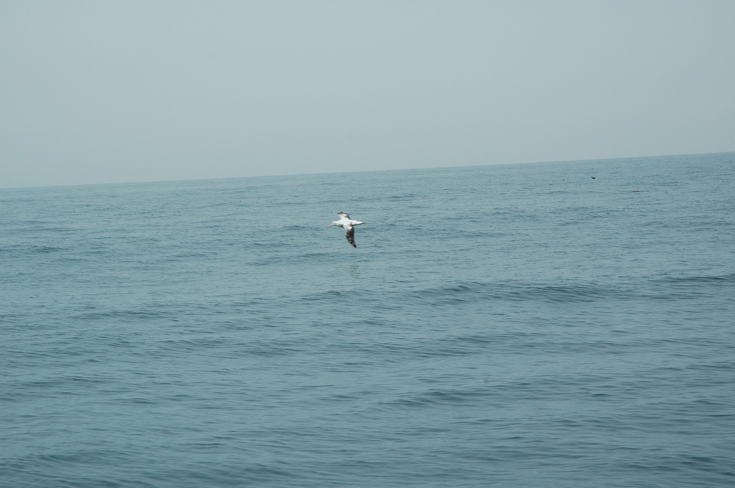 186   30 01   Kaikoura